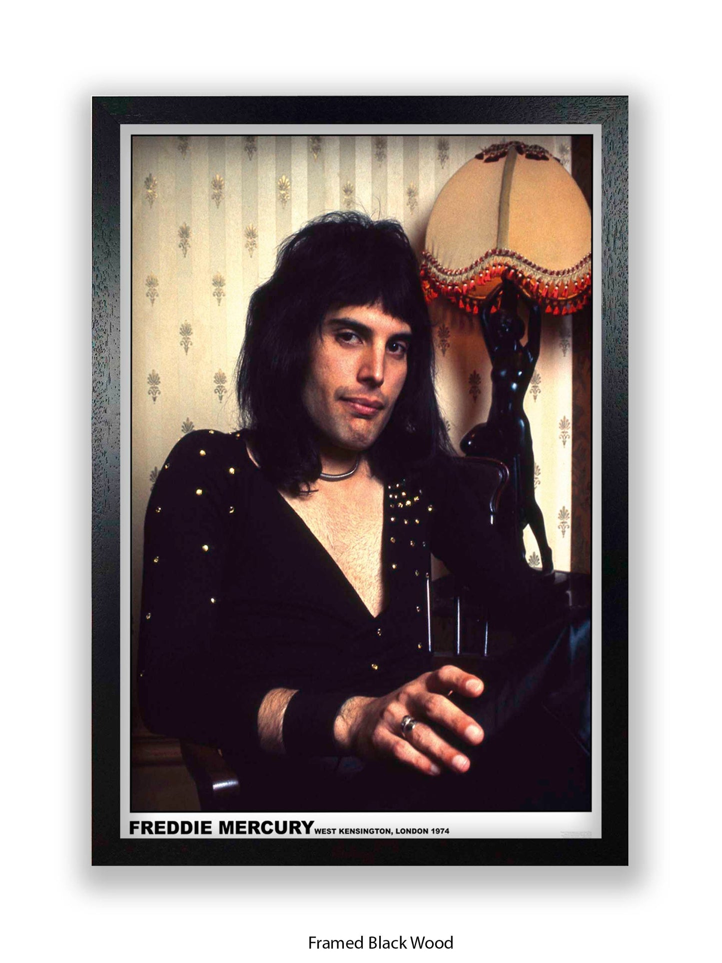 Queen - Freddie Mercury - West Kensington, London 1974 - Poster