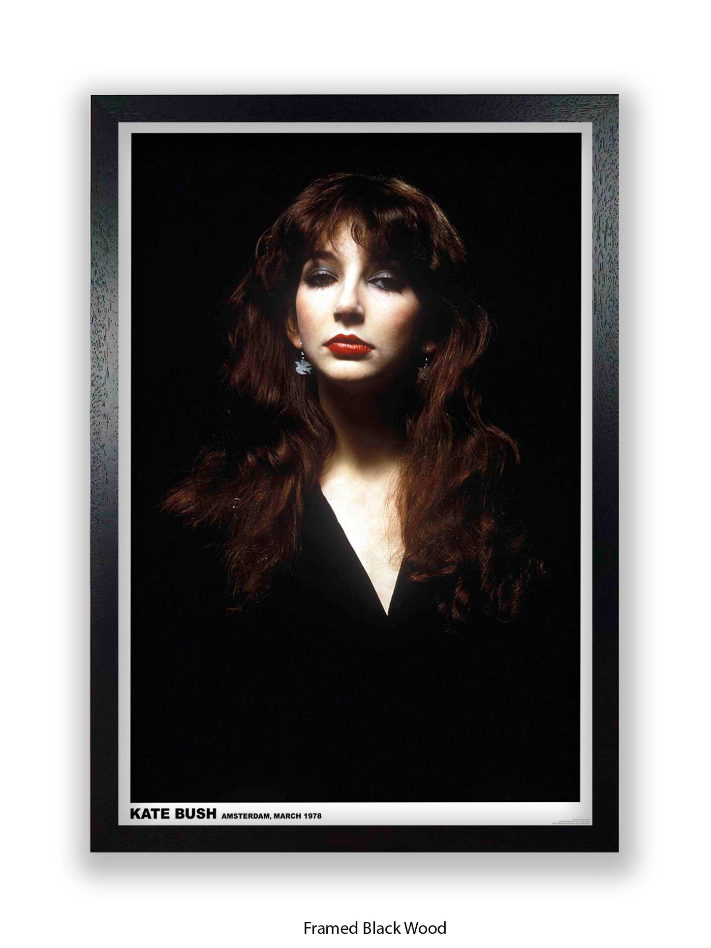 Kate Bush - Amsterdam, March 1978 - Poster