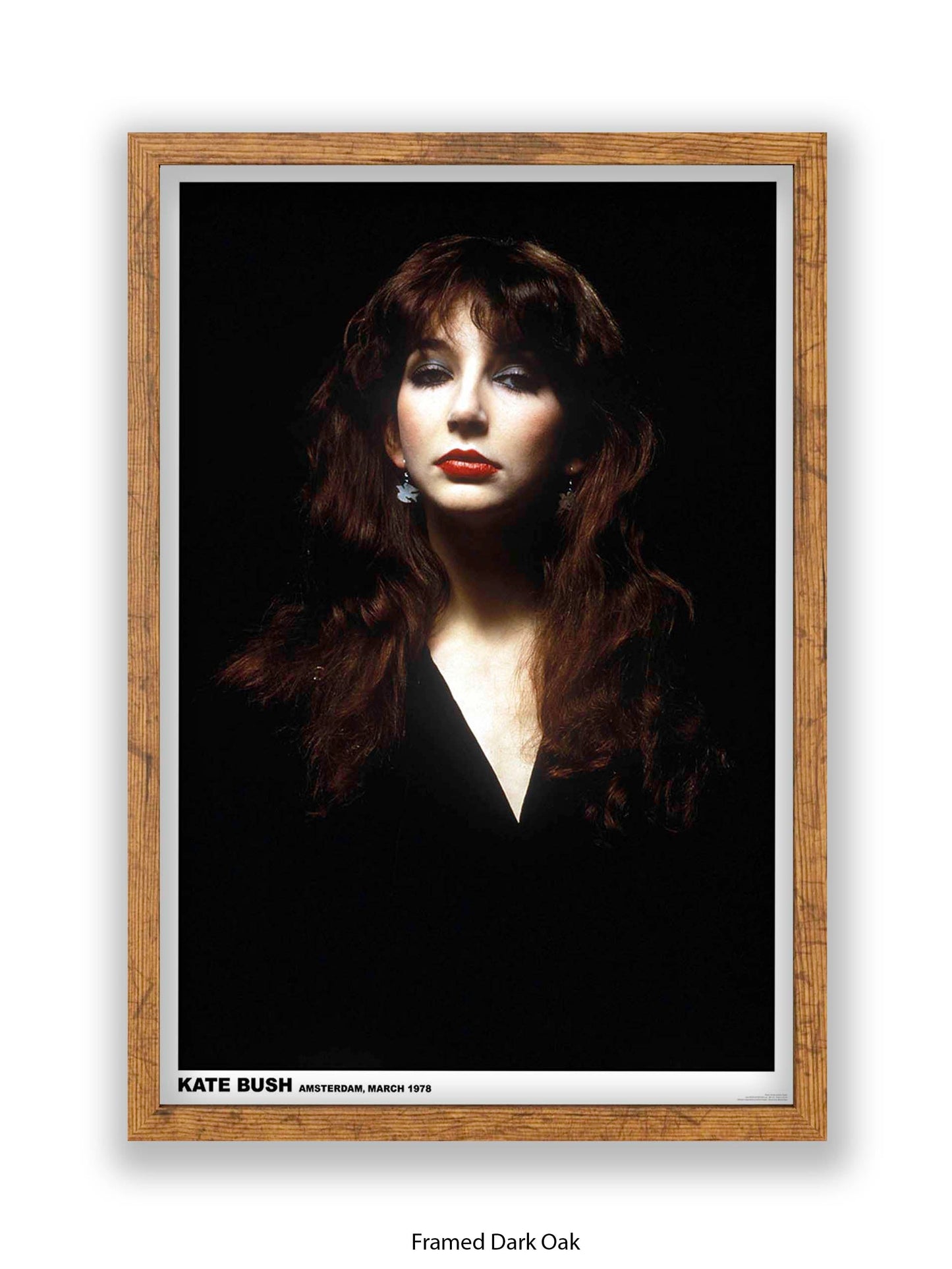 Kate Bush - Amsterdam, March 1978 - Poster