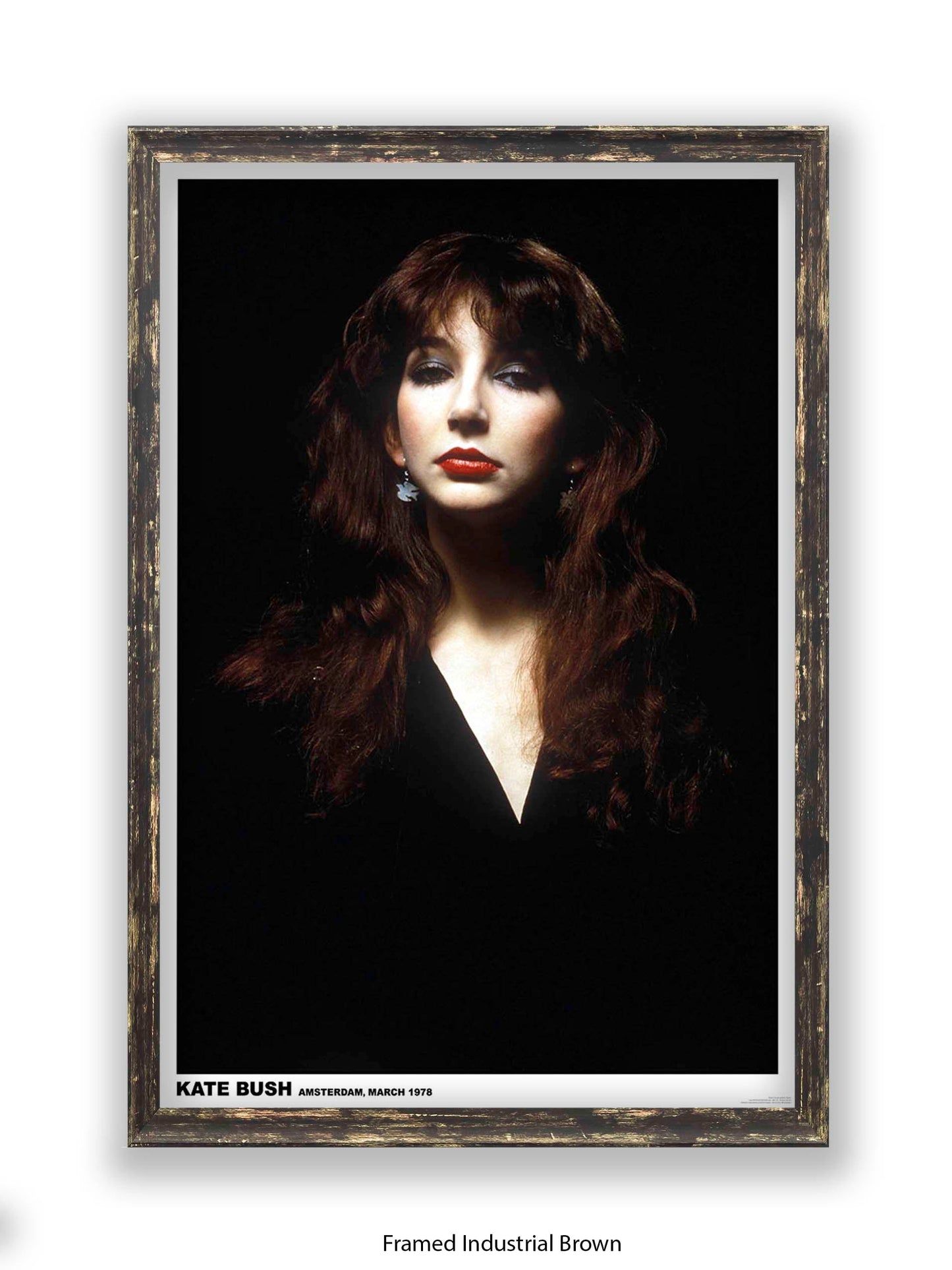 Kate Bush - Amsterdam, March 1978 - Poster