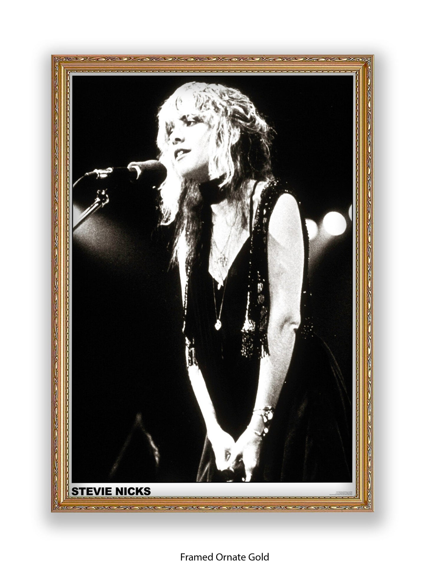 Stevie Nicks - black-and-white concert photo - Poster