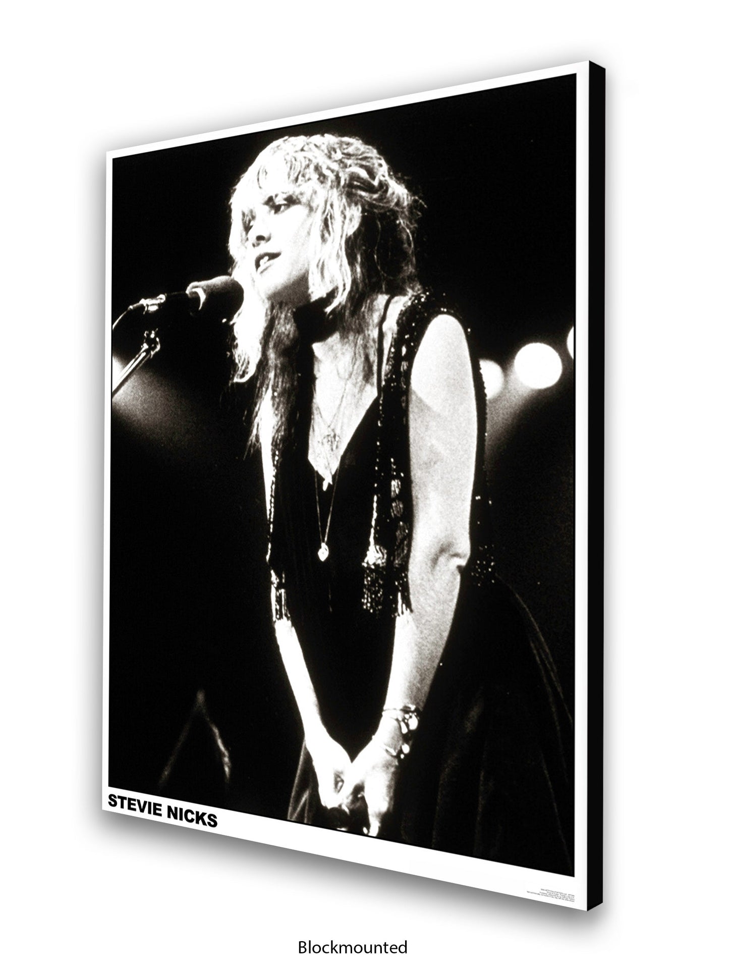Stevie Nicks - black-and-white concert photo - Poster