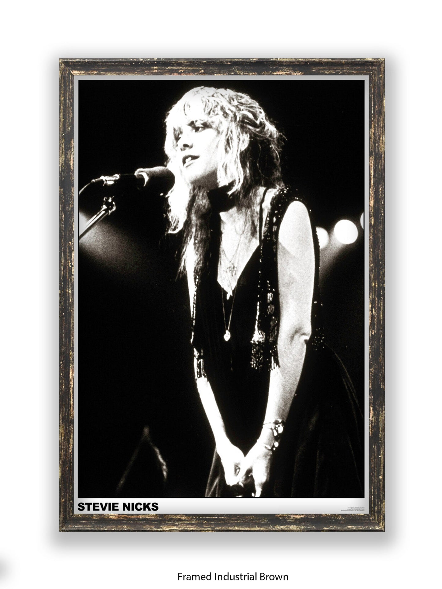 Stevie Nicks - black-and-white concert photo - Poster