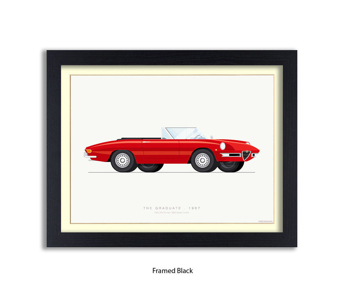 Graduate - 1966 Alfa Romeo 1600 Spider - Fred Birchal Art Print