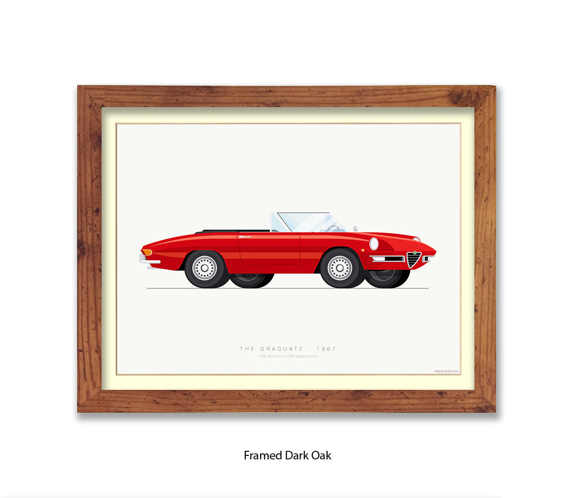 Graduate - 1966 Alfa Romeo 1600 Spider - Fred Birchal Art Print