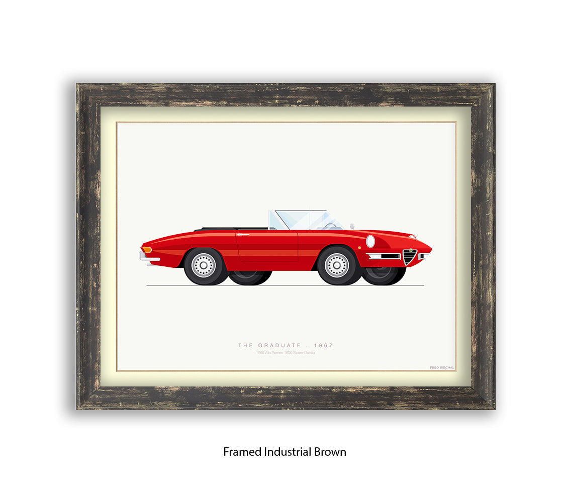Graduate - 1966 Alfa Romeo 1600 Spider - Fred Birchal Art Print