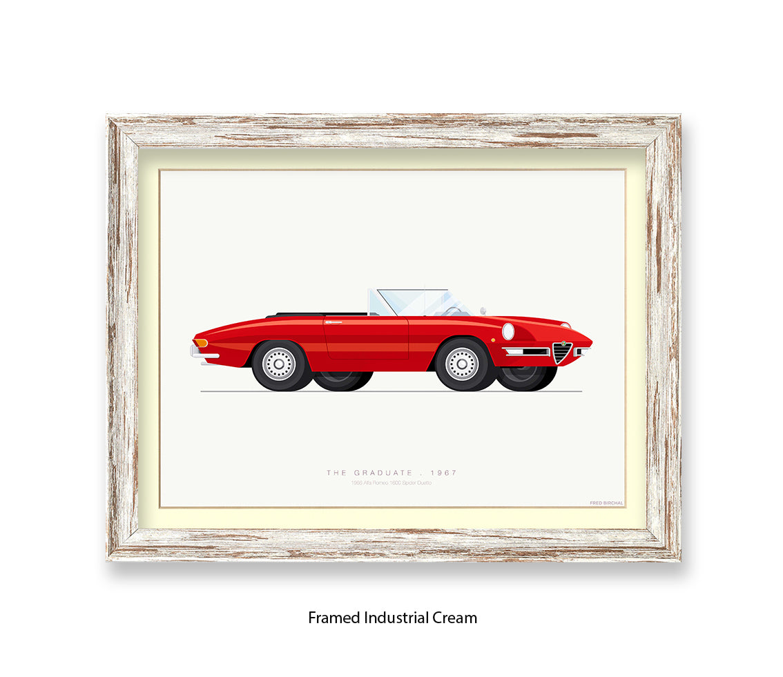 Graduate - 1966 Alfa Romeo 1600 Spider - Fred Birchal Art Print