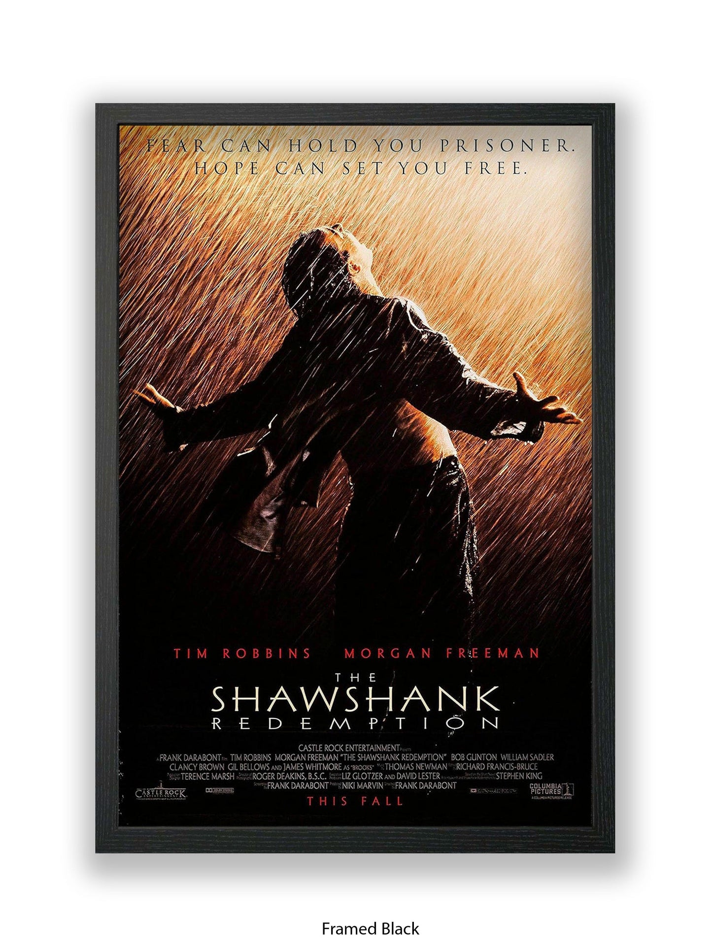 Shawshank Redemption - One sheet poster