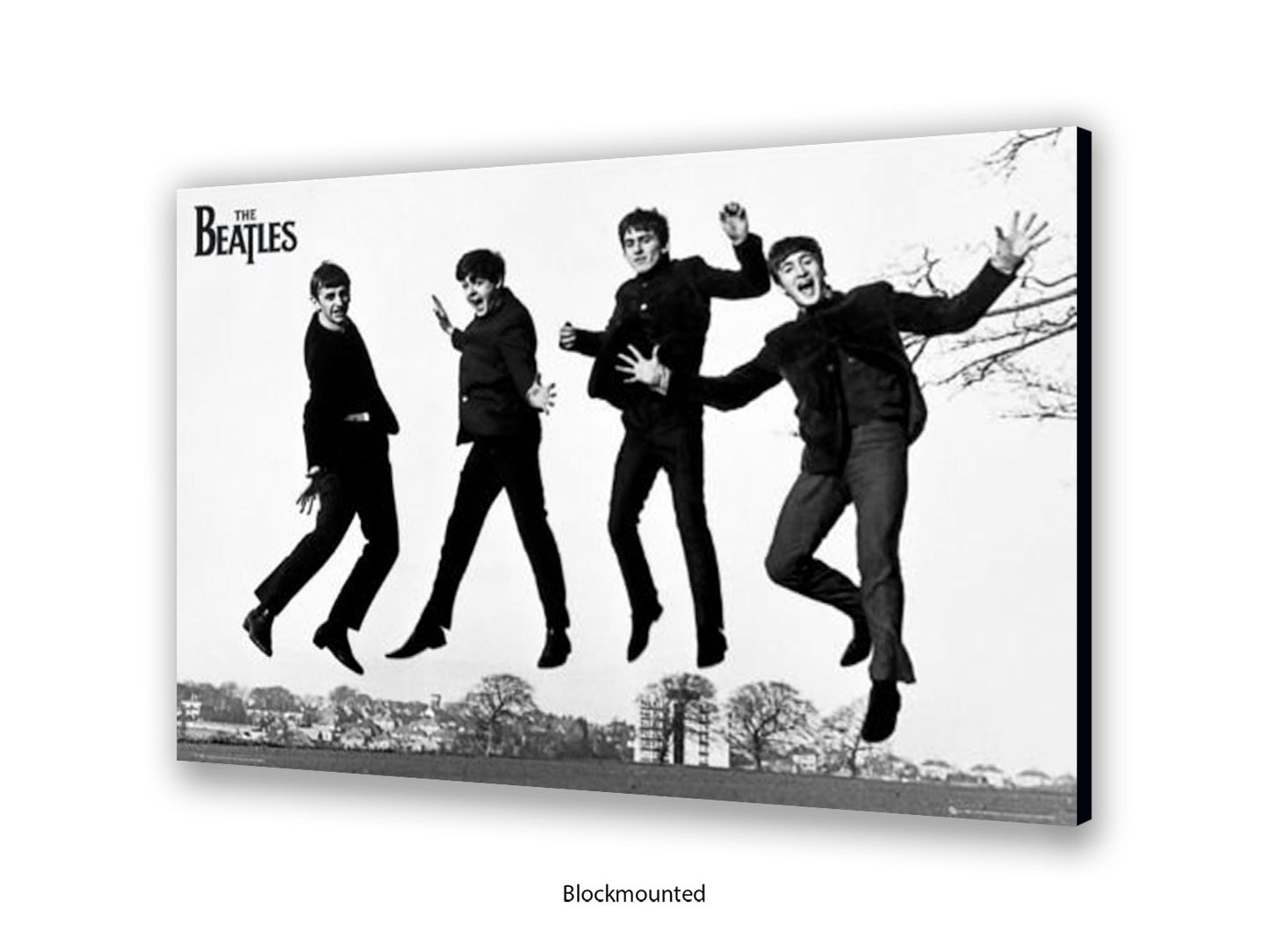 Beatles - Jumping Sefton Park | South Liverpool  - Poster