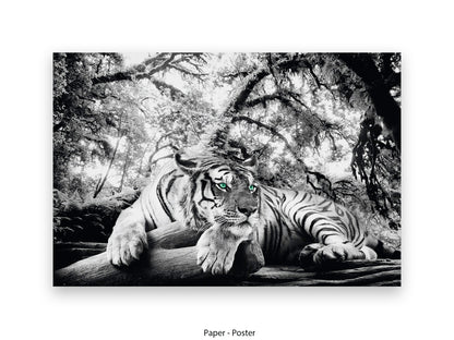 Tiger is watching you Giant Poster