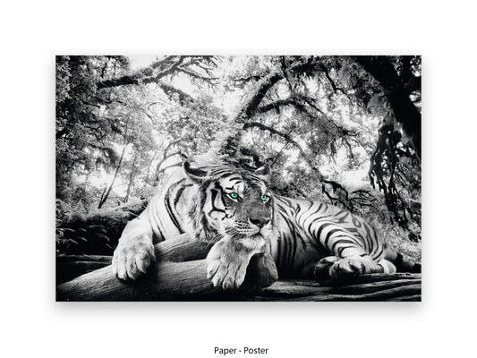 Tiger is watching you Giant Poster