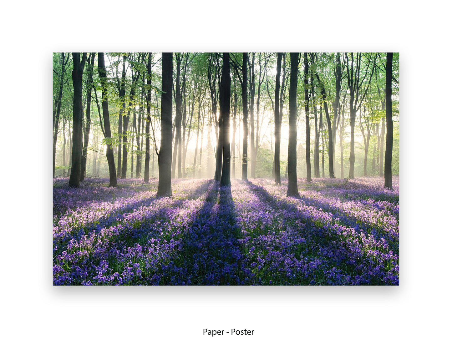 Enchanted Forest Giant Poster