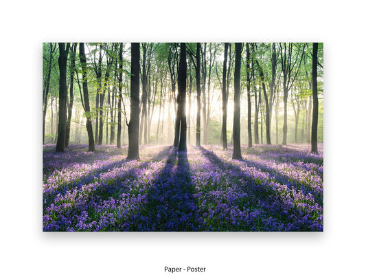 Enchanted Forest Giant Poster