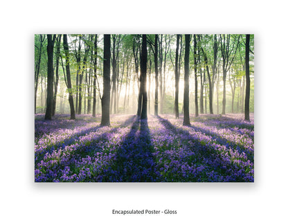 Enchanted Forest Giant Poster
