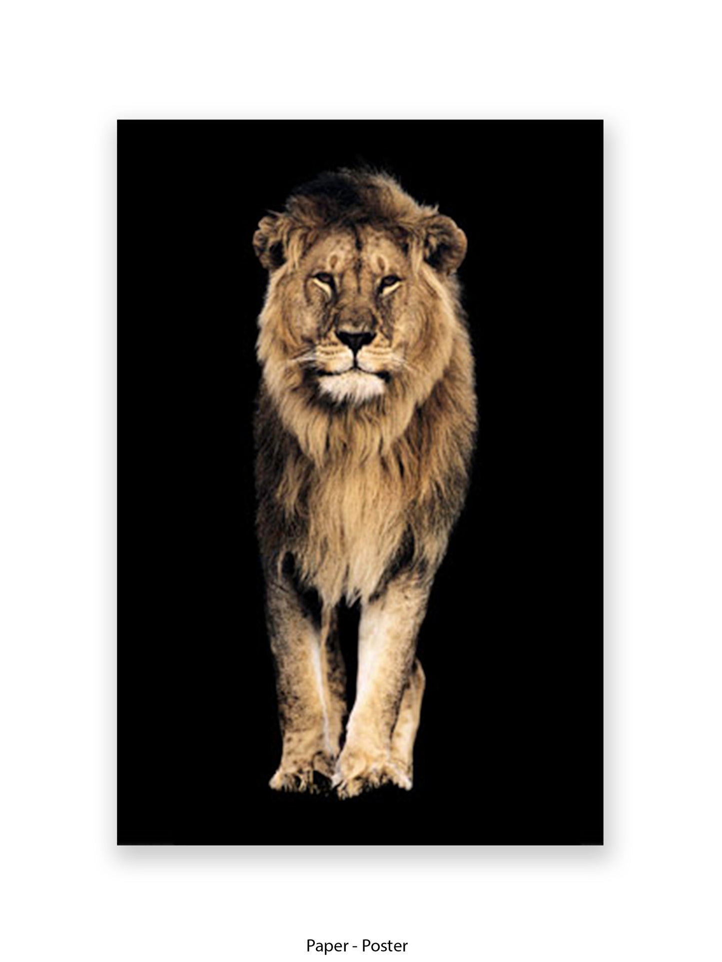 Lion King of the Jungle - Black Background Giant Poster