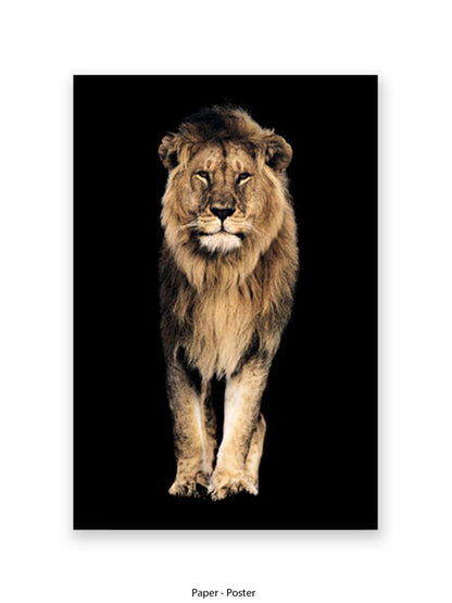 Lion King of the Jungle - Black Background Giant Poster