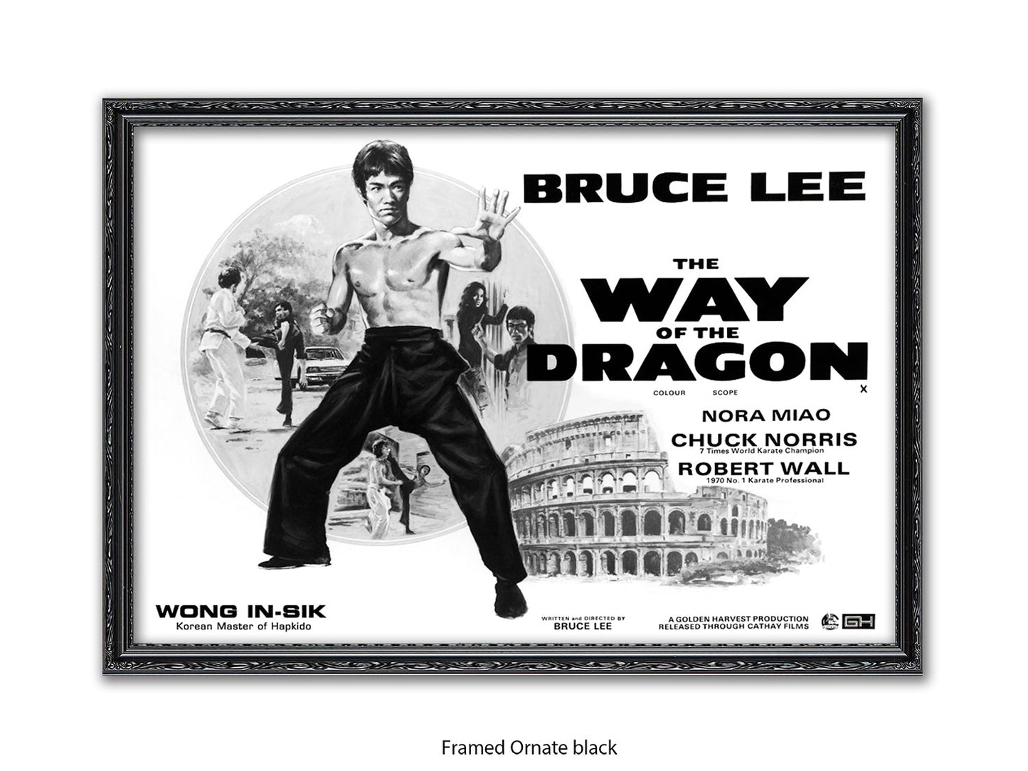 Bruce Lee Way Of The Dragon Poster