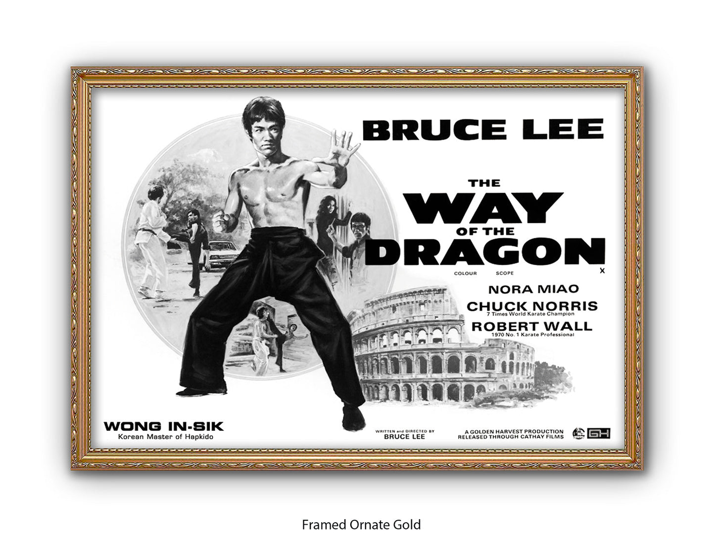 Bruce Lee Way Of The Dragon Poster