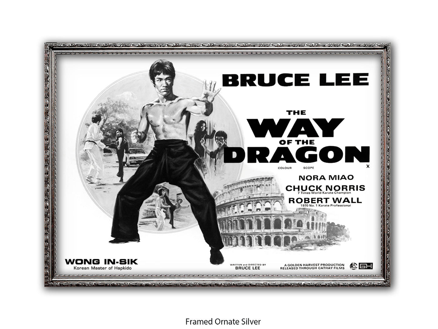 Bruce Lee Way Of The Dragon Poster