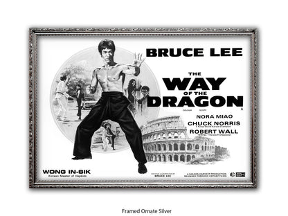 Bruce Lee Way Of The Dragon Poster