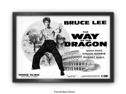 Bruce Lee Way Of The Dragon Poster