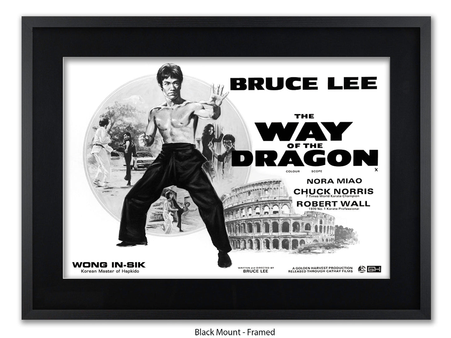 Bruce Lee Way Of The Dragon Poster