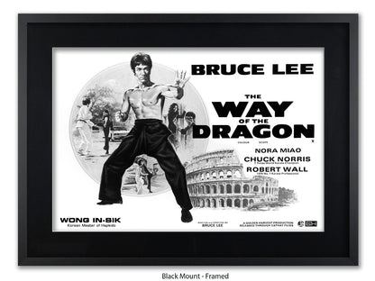 Bruce Lee Way Of The Dragon Poster