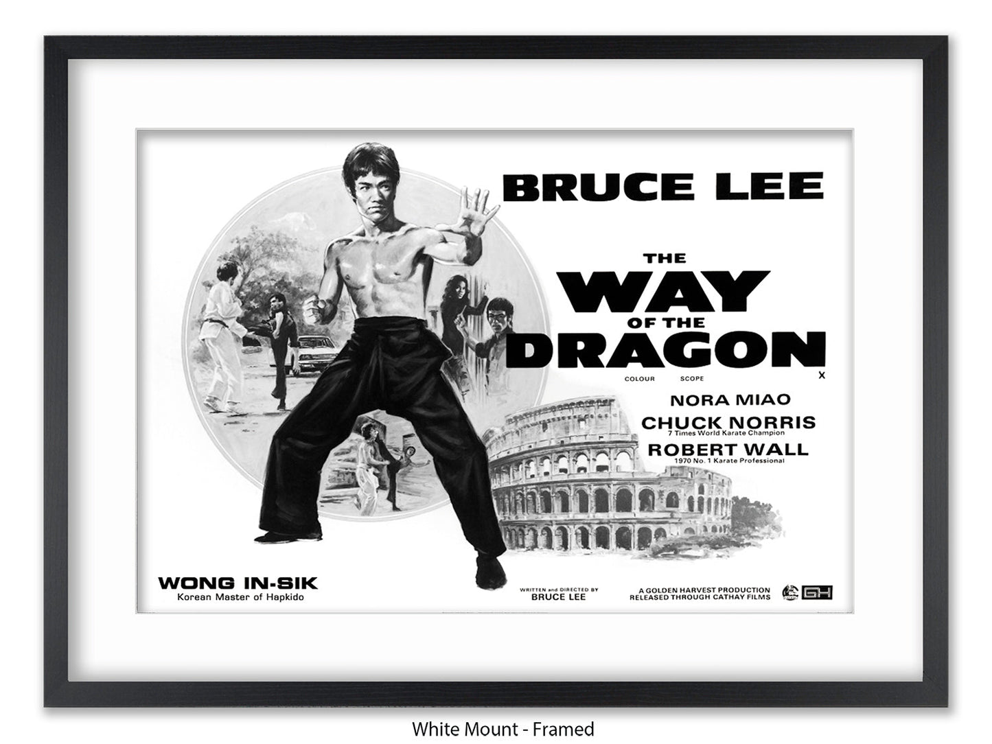 Bruce Lee Way Of The Dragon Poster
