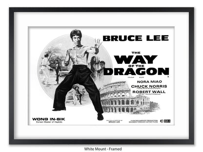 Bruce Lee Way Of The Dragon Poster