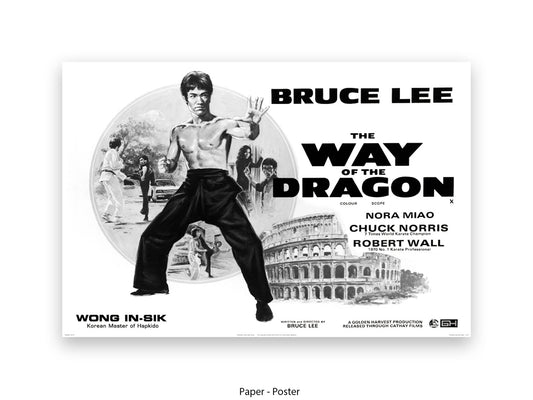 Bruce Lee Way Of The Dragon Poster
