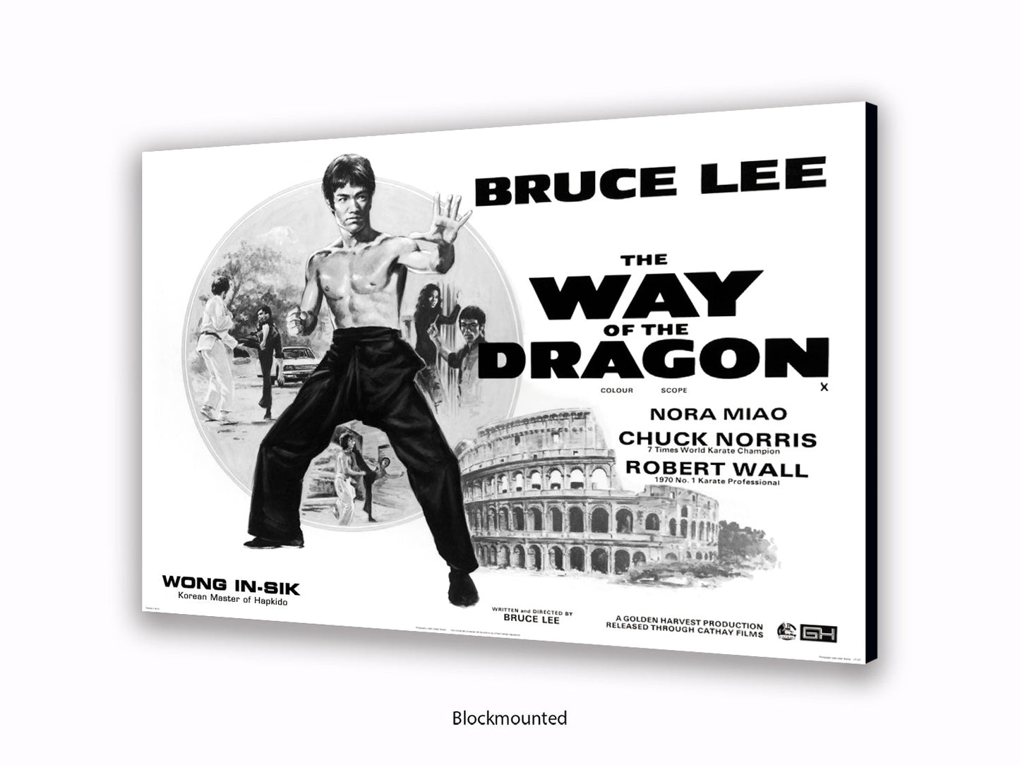 Bruce Lee Way Of The Dragon Poster