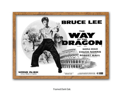 Bruce Lee Way Of The Dragon Poster