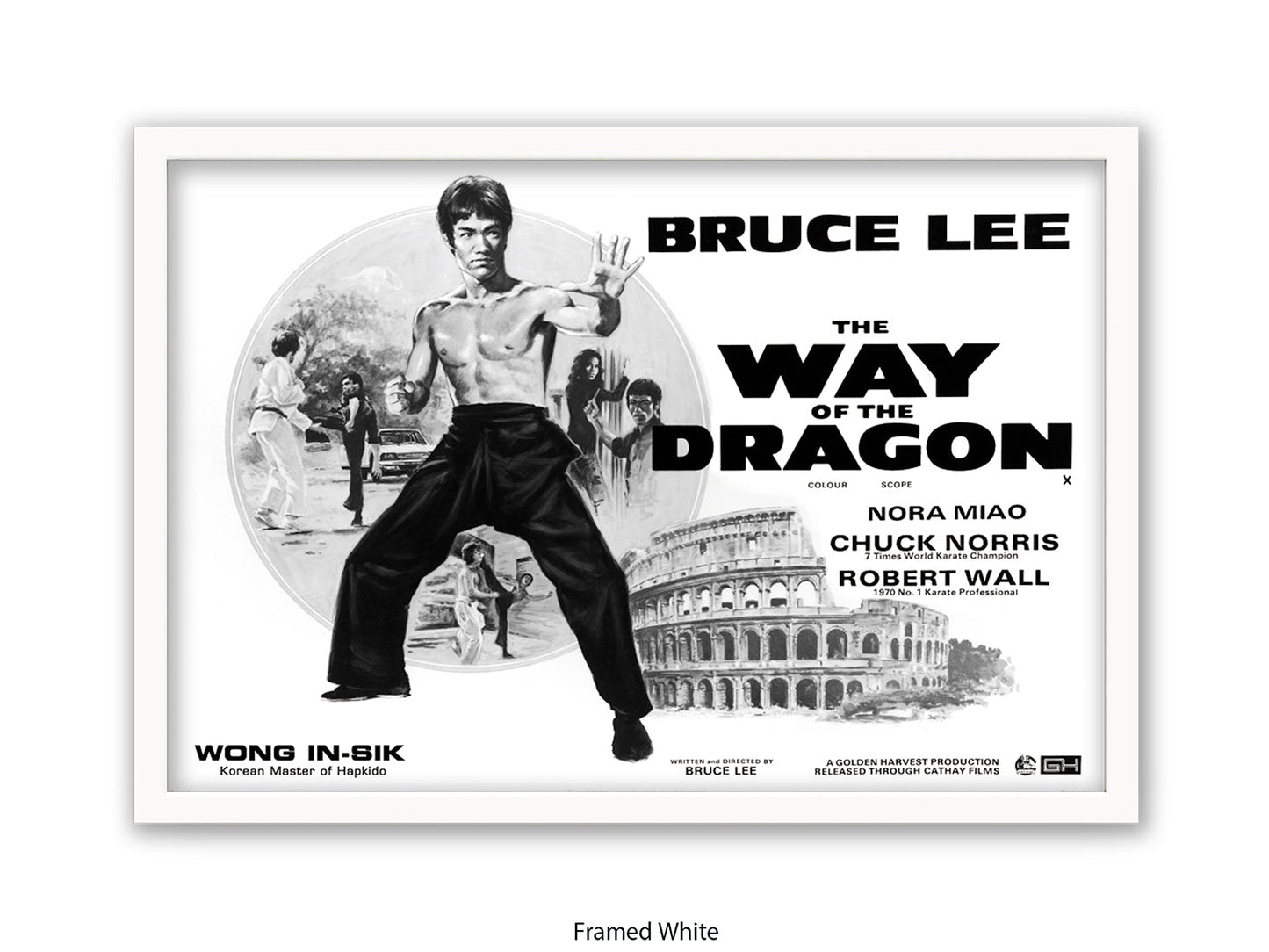 Bruce Lee Way Of The Dragon Poster