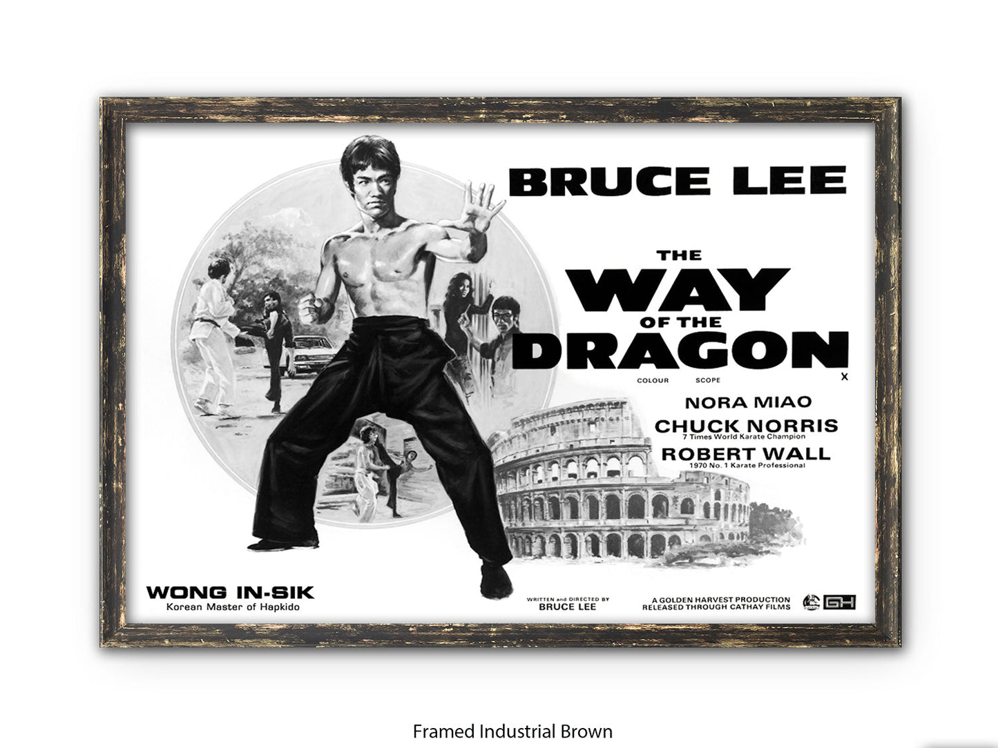 Bruce Lee Way Of The Dragon Poster