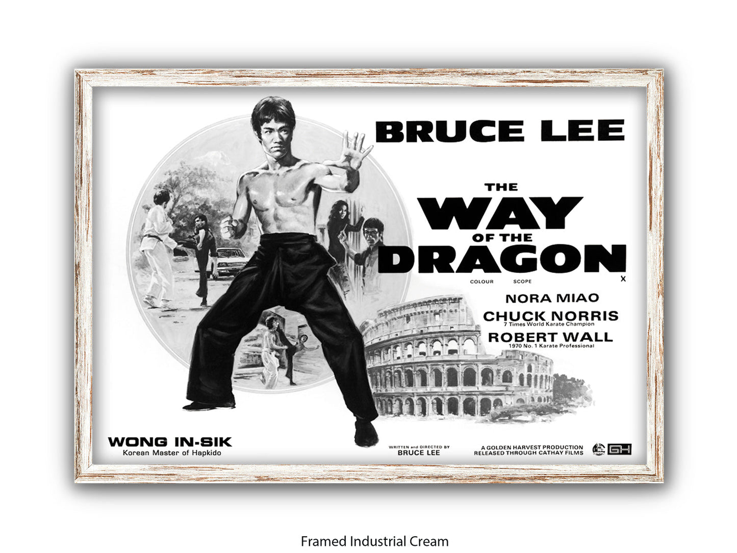 Bruce Lee Way Of The Dragon Poster