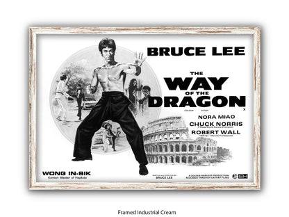Bruce Lee Way Of The Dragon Poster