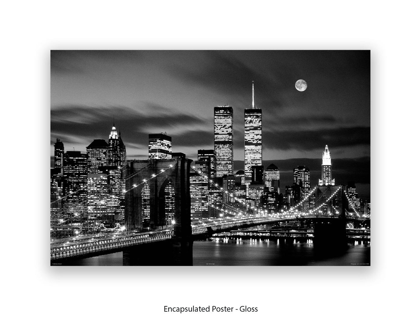 New York Twin Towers Poster