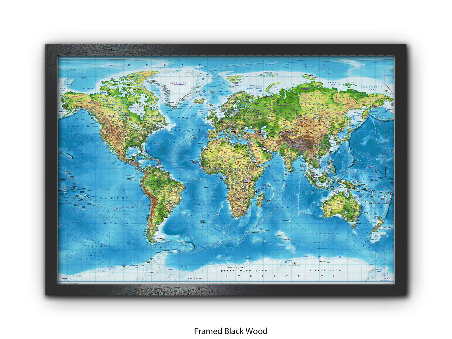 World  Physical  / Terrain Map Poster