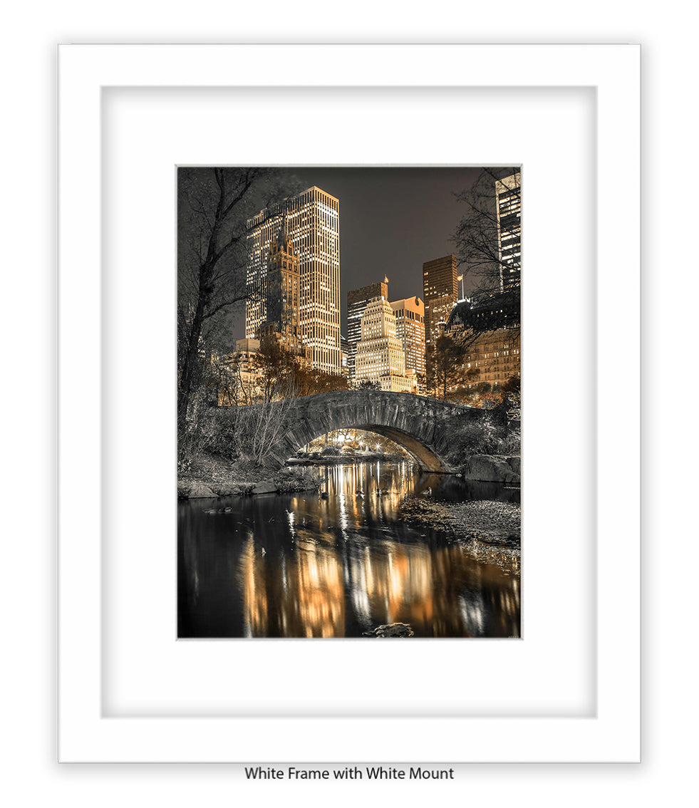 NYC Central Park - Sepia - Mounted & Framed Art Print
