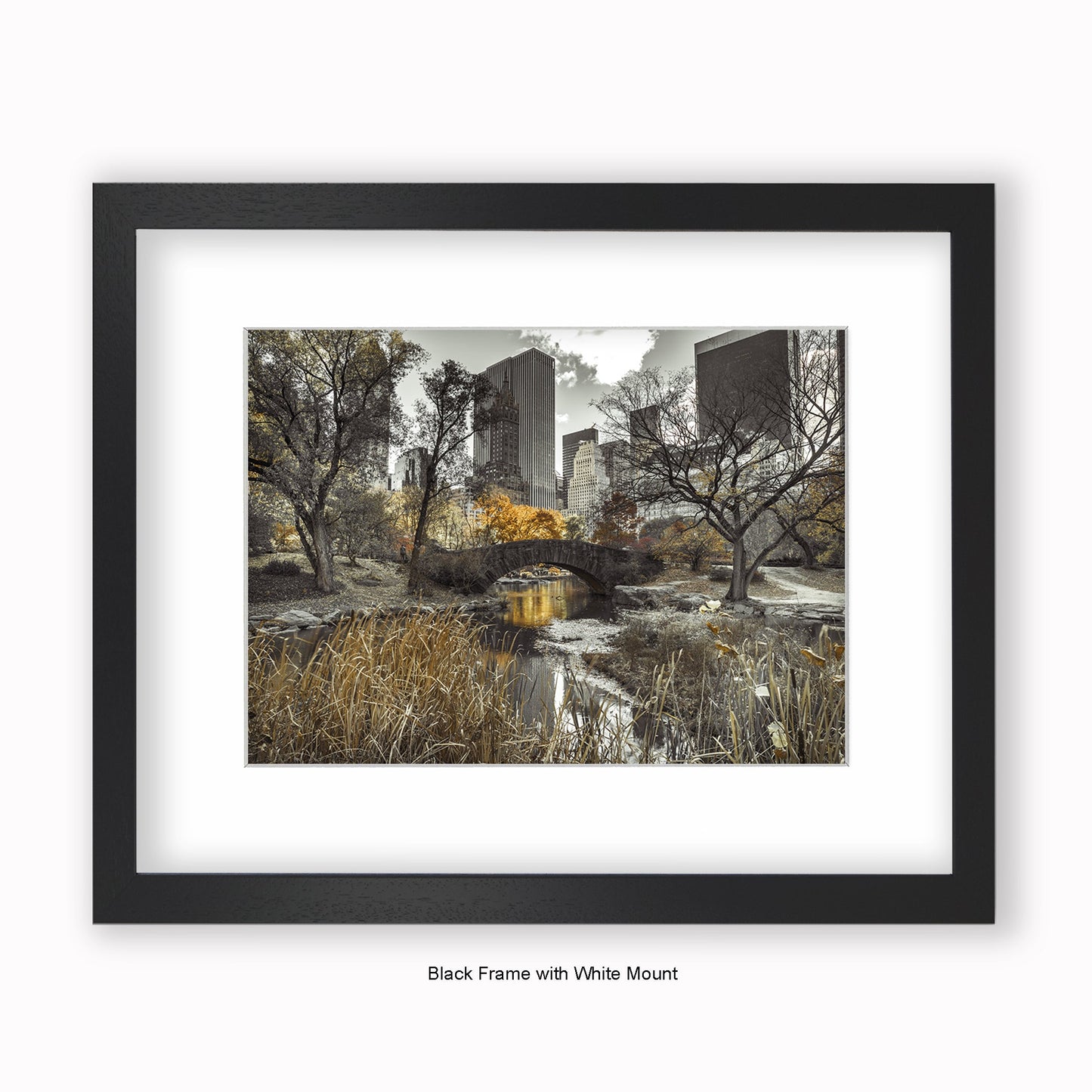New York Central Park - Two Tone - Mounted & Framed Art Print