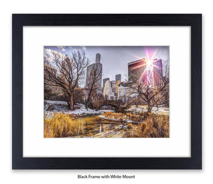 NYC Central Park Sunlight - Mounted & Framed Art Print