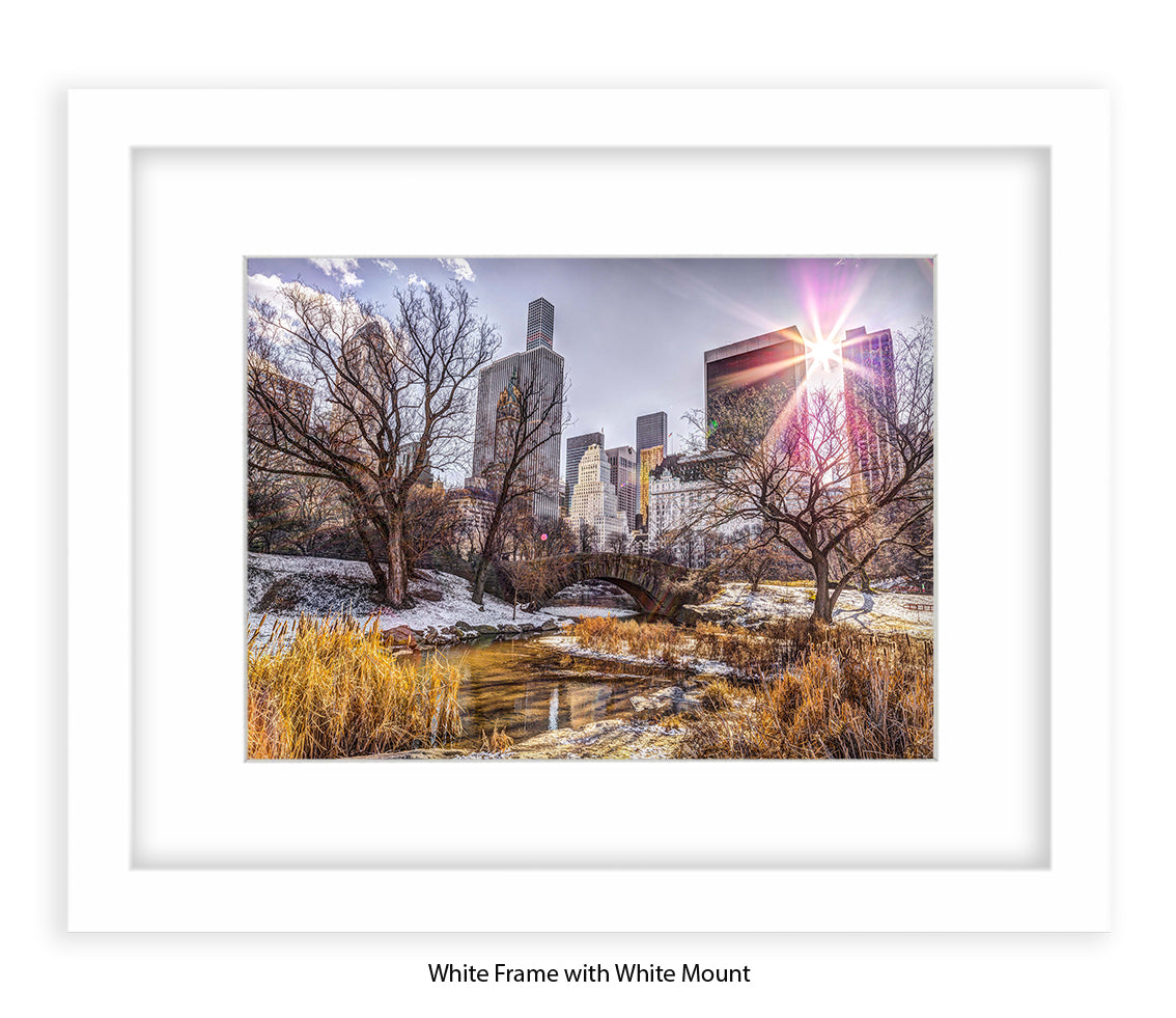 NYC Central Park Sunlight - Mounted & Framed Art Print