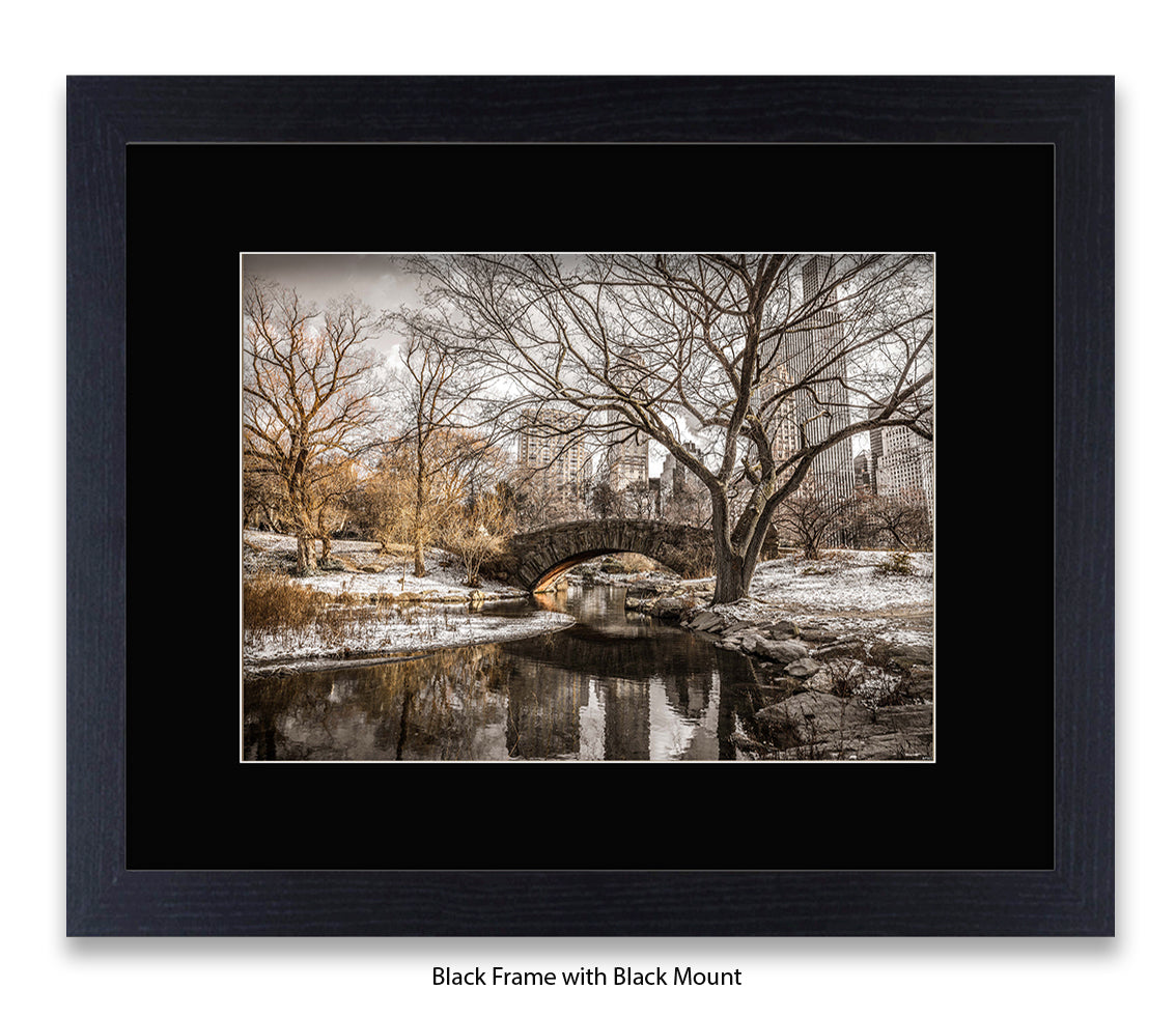 NYC - Central Park Winters Day - Mounted & Framed Art Print