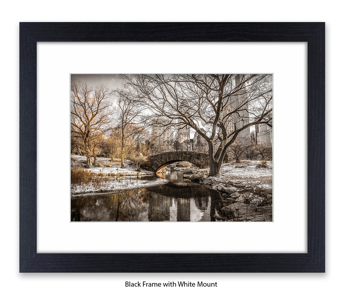 NYC - Central Park Winters Day - Mounted & Framed Art Print