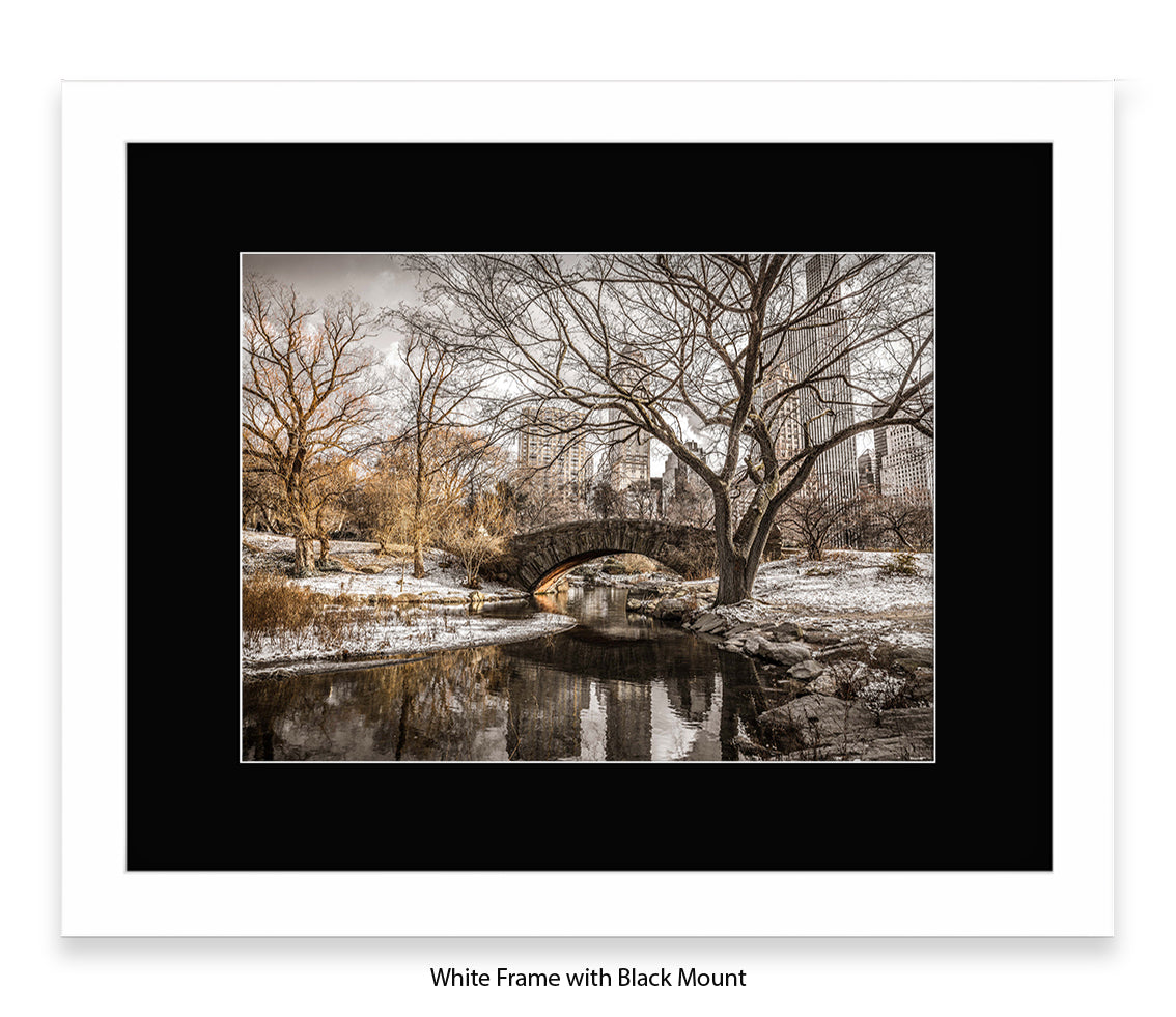 NYC - Central Park Winters Day - Mounted & Framed Art Print