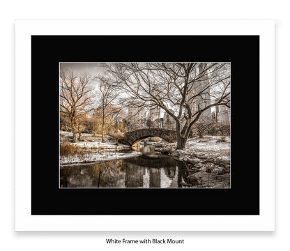 NYC - Central Park Winters Day - Mounted & Framed Art Print