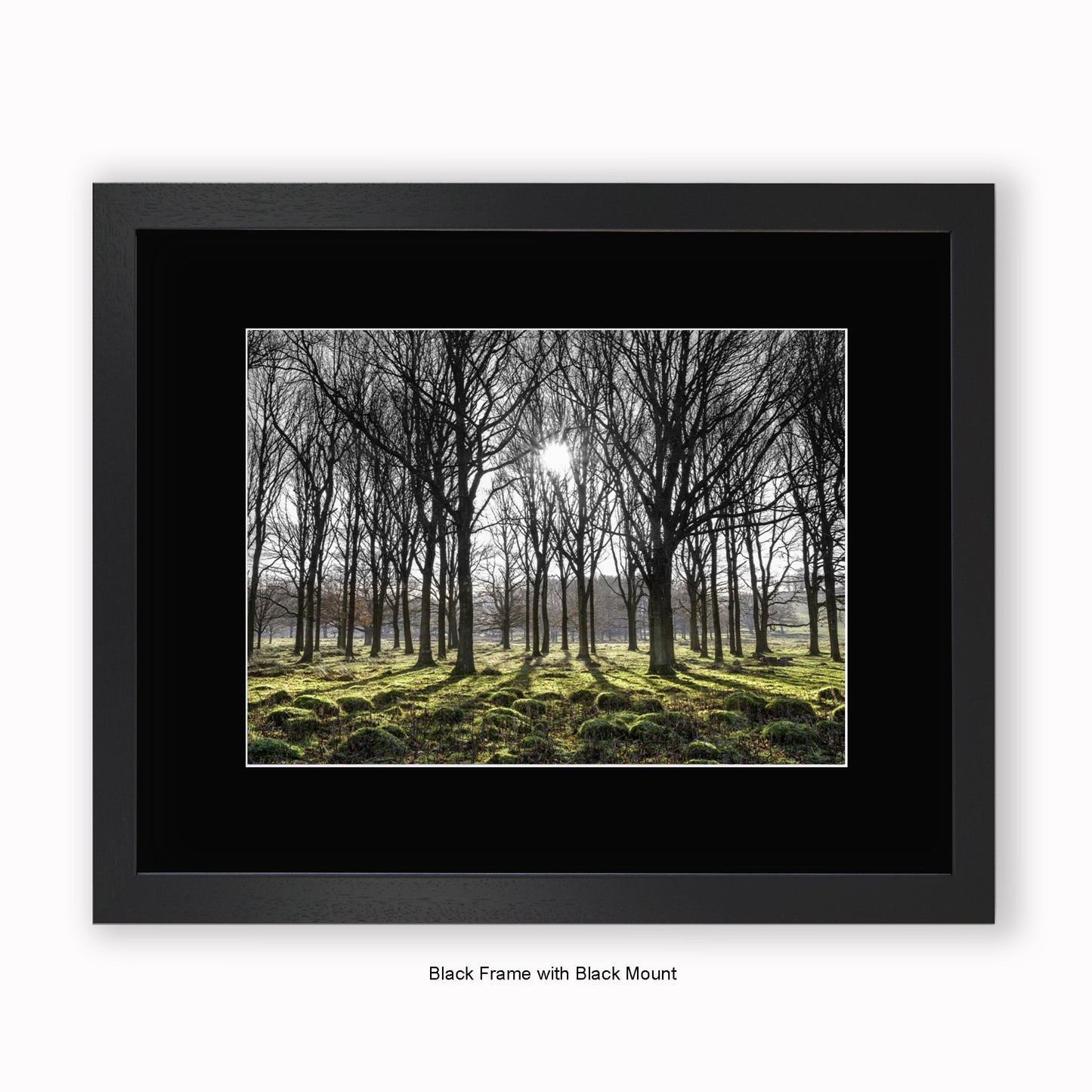 Forest Trees Sunlight In Middle - Mounted & Framed Art Print