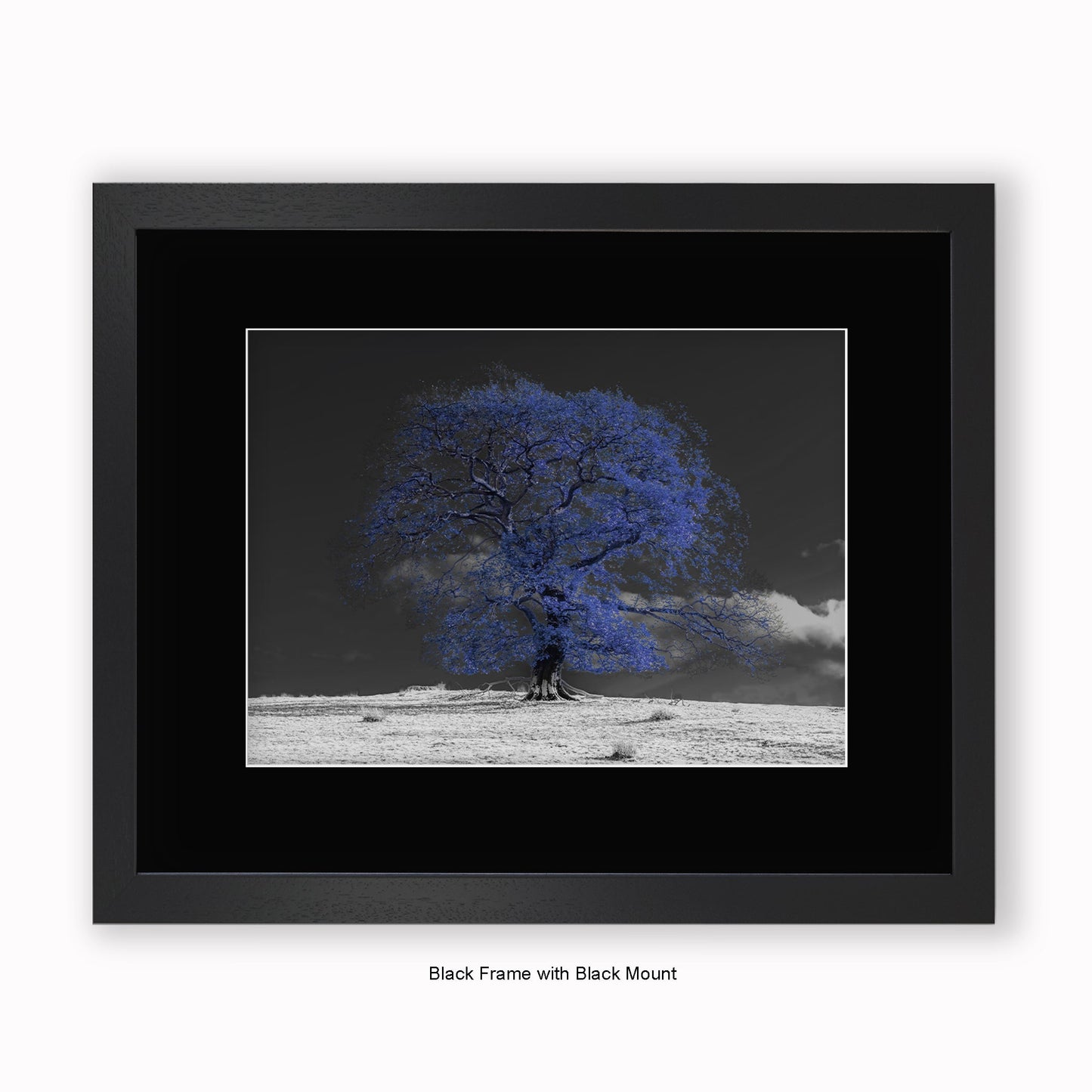 Blue Tree b/w Background - Mounted & Framed Art Print