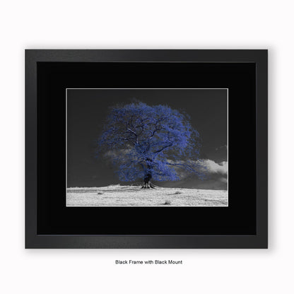 Blue Tree b/w Background - Mounted & Framed Art Print