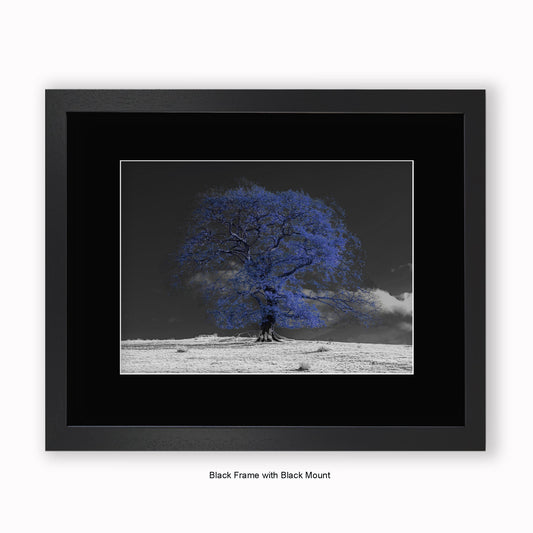 Blue Tree b/w Background - Mounted & Framed Art Print